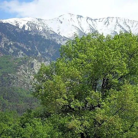 Vtf Clair Canigou 3*